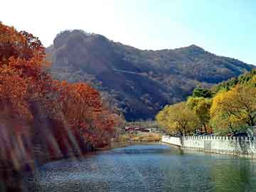 管家婆黑白马报图库，地下管道漏水检测仪